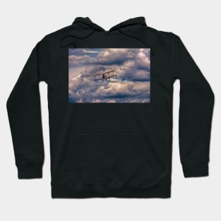 Dog Fight Hoodie